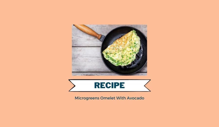 Microgreens Omelet with Avocado